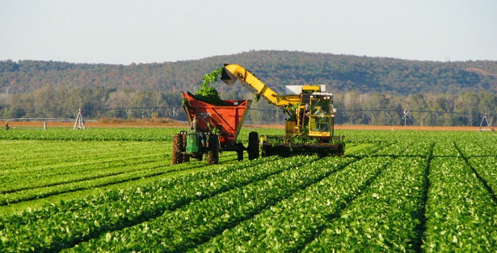 Seguridad Agroindustrial